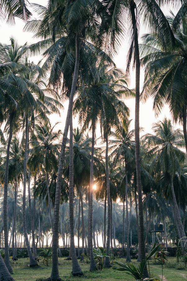 Luna Laguna Kalpitiya Buitenkant foto